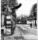 Le Saut dans le vide (Yves Klein)