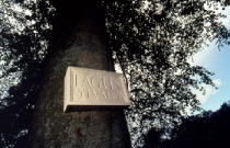 Names of Plaques, Names of Trees (Ian Hamilton Finlay)